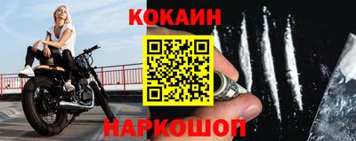 гидра Гай